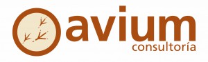 AVIUM_consultoria